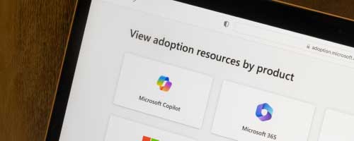 365 Adoption